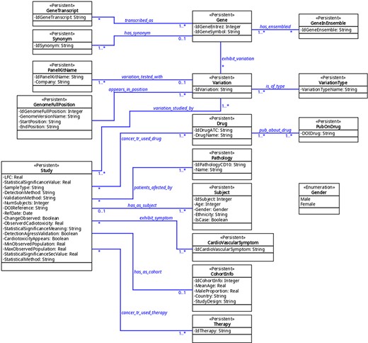 The UML diagram of the database.