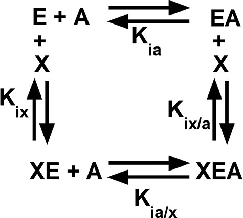 An allosteric energy cycle in which an enzyme (E) binds one substrate (A) and one allosteric effector (X). Kia is the binding of the substrate to the enzyme in the absence of the effector; when initial data are derived from kinetic measurements, this parameter is designated as Ka. Kia/x is the binding of the substrate to the enzyme in the presence of saturating concentrations of the effector. Kix is the binding of the effector to the enzyme when the substrate is absent. Kix/a is the binding of the effector to the enzyme in the presence of saturating concentrations of the substrate. Allosteric coupling is defined as Qax = Ka/Ka/x = Kix/Kix/a (34, 36, 37, 223). A description of hLPYK’s allosteric regulation requires two such functional cycles—one for activation by Fru-1,6-BP and one for inhibition by alanine.