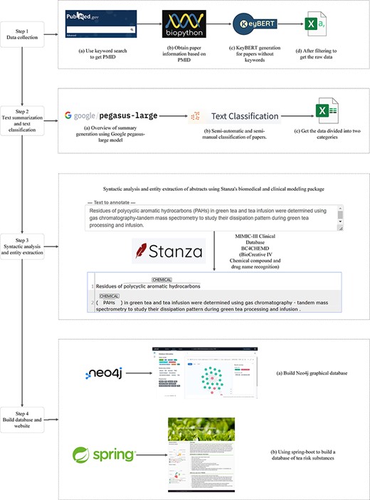 The Neo4j database construction process.