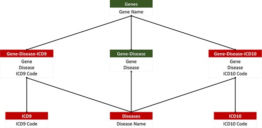 PAS-GDC relational database. PAS-GDC database includes six relations, genes, diseases, ICD9, ICD10, gene–disease, gene–disease–ICD-9 and gene–disease–ICD-10.