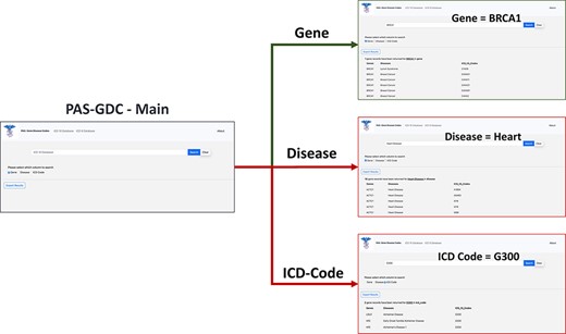 PAS-GDC graphical user interfaces workflow. PAS-GDC GUI includes Main, Gene, Disease and ICD Code (9 and 10) interfaces.