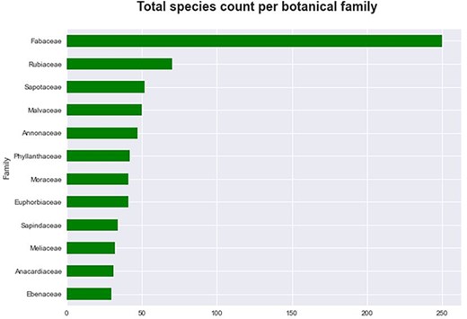 The 12 largest botanical families of tree species ranked according to the highest number of species in the database.