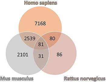 Venn diagram of the number of genes and proteins referenced in ChagasDB in Homo sapiens, Mus musculus and Rattus norvegicus.