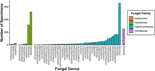 A bar chart of specimen records within the CIGAF database by genus. The bars are colored by fungal family and are ordered from lowest to highest prevalence within each category.