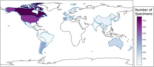 Country-level choropleth map of trichomycetes generated using the CIGAF user interface. The legend shows the trichomycetes specimen intensity, with the darker purple color indicating the larger number of associated collection records. Countries that show a white color without a defined blue outline have zero collection records within the database.