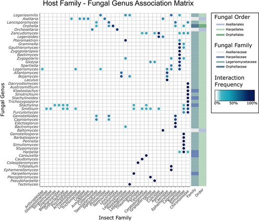 Matrix of trichomycetes–insect interactions generated using the CIGAF web application. Insect hosts at the family level are shown along the x-axis, and fungal genera are shown along the y-axis. The darker the dot at any row–column intersection, the higher the prevalence (number of records containing the indicated trichomycetes–insect interaction). Fungal genera (rows) are clustered by interaction pattern similarity such that genera with similar interaction patterns are next to each other. Insect hosts are ordered alphabetically. The rectangle array at the end of each row indicates the fungal family and fungal order to which the corresponding fungal genus belongs.