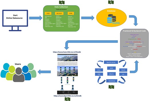 Schematic representation of the IHM-DB. (A) Data collection from publicly available database (NCBI, MG-RAST and EMBL). (B) Storage of all the collected datasets information’s into MySQL database. (C) Languages used for developing the IHM-DB. (D) User-friendly interface of the IHM-DB.