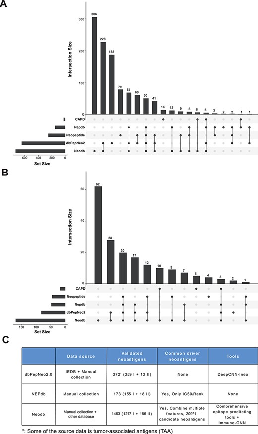 Comparison with other databases. (A) The amount of neoantigen–HLA pairs of different database and their overlap. (B) The amount of research papers of different databases and their overlap. (C) Comparison of different databases, including data sources, the number of validated neoantigens and whether there is a list of candidate neoantigens derived from common cancer driver mutations. The neopeptide and cancer antigenic peptide database (CAPD) only have the neoantigen peptide sequence and do not include tools and other resources, therefore they are not shown in the table.