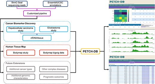 Overview of the database contents. The PETCH-DB (v1.0) aims to be a centralized portal for published 5hmC-Seal results processed by the previously published bioinformatic pipelines in primarily clinical samples. The figure shows two major data resources for Cancer Biomarker Discovery and Human Tissue Map (i.e. bodymap) and the Future Extensions as well.
