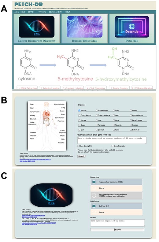 User interfaces. Screenshots are showcased for (A) the main interface, (B) Human Tissue Map and (C) Cancer Biomarker Discovery.