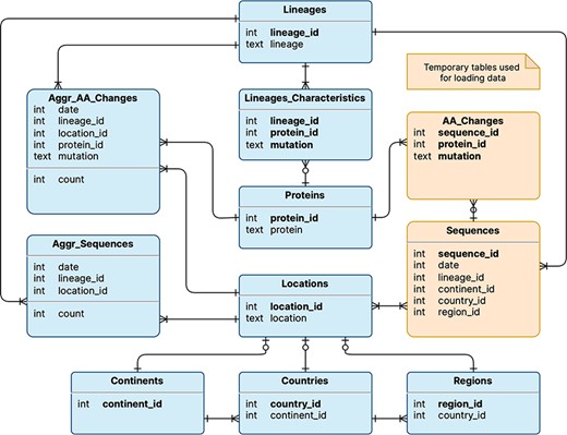 Logical schema of the database used by VariantHunter. Orange tables are created during the parsing of the input file from genomic data sources and then deleted when the blue tables have been constructed, as information about individual sequences is not needed by the tool.