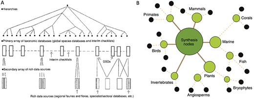 Two heuristic approaches to unified data pooling. (A) Image from Bisby (28), illustrating his envisioned unified hierarchy of classificatory theories for taxonomic domains. The hierarchy would enable a centralized aggregator or modular system of data pools. (B) Image from Gallagher et al. (52), illustrating a modular hub-and-spoke system for integrating trait data about species by taxonomic domains. Black circles at the edges of the network show primary data publishers or sources. Intermediate nodes show projects harmonizing data and developing standards. The central, largest node represents a trait dataset registry that functions as a basic search index portal across domains.