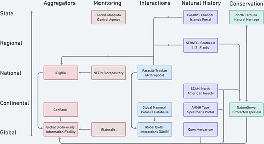Selected examples of North American and global biodiversity data pooling projects illustrate the current partially coordinated flow of biodiversity data (uni- or bi-directional arrows). Projects are distinguished by the geographic scale (y-axis) and type of domain used to characterize their scope (colors by column on the x-axis). The aggregator column represents some important biodiversity data pooling projects whose scopes cut across the other domain categories.