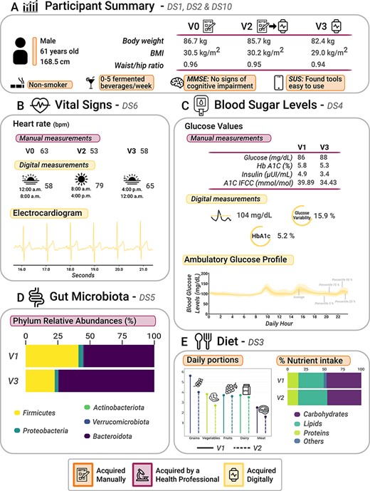 Graphical analysis of participant data (a 61-year-old male) collected from AI4FoodDB during the clinical intervention. (A) Participant summary, which includes anthropometric measurements from the three visits and additional information (extracted from Datasets 1, 2 and 10). (B) Vital signs associated with manual and digital measurements (Dataset 6). (C) Blood sugar levels, which include manual and digital measurements (Dataset 4). (D) Gut microbiota: relative abundances of the five most abundant phyla at V1 and V3 (Dataset 5). (E) Diet (Dataset 3).