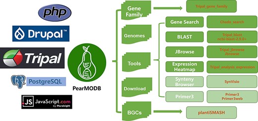 The framework and available function modules of PearMODB. Core system and programming language, logo, main functional modules, corresponding core programs of PearMODB are shown from left to right.