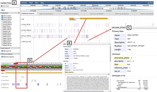 JBrowse tool. (A) Available tracks for different types of genomic features. (B) A window showing detailed information of the target gene model. (C) SNPs information for 113 pear accessions. (D) Tracks of three types of DNA methylation.