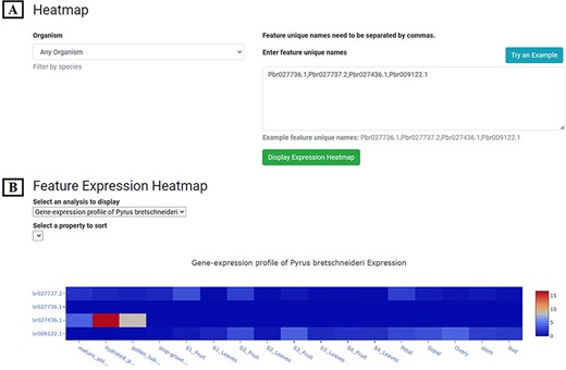 Expression Heatmap page. (A) The block for organism selection and gene id input. (B) Gene expression profile of example genes in 17 tissues or development stages of P. bretschneideri cv. ‘Dangshansuli’.