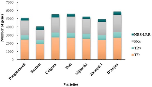 A comparison of gene number of different families in seven pear genomes.