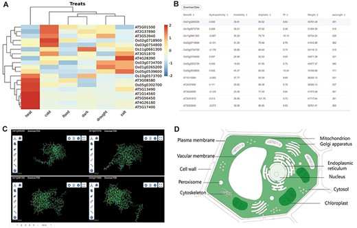 The other part of downstream analysis modules about transcriptome and proteome. (A) Expression module, gene expression in heat, cold, flood, dark, drought and salt conditions visualized by heatmap. (B) Physicochemical properties modules with PI, hydropathicity, Aliphatic, Instability, Weight and amino acids length. (C) 3D-Model module presenting four 3D structures at once. The ID and download are at the top of each structure. (D) Subcell modules with dark part meaning more genes localized there.