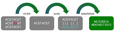 Three main steps of a metagenomic pipeline: filtering, aligning and annotating. Source: the authors.