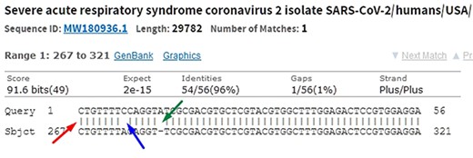 In the alignment of genetic sequences, mismatches (blue), indels (green) and matches (red) can occur. The occurrence of these events does not necessarily mean that they are different subjects. Source: the authors (sample on NCBI Blast).