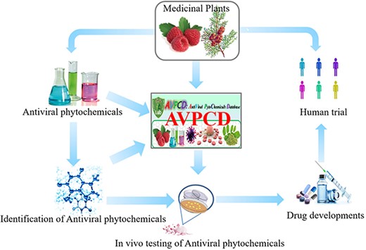 The graphical abstract of the AVPCD.