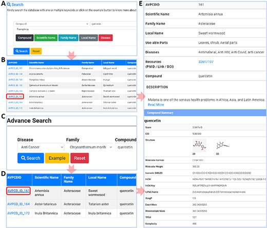 Usage of AVPCD. (A) The simple search with five search options. (B) The compound list by the selected option in simple search. (C) The advanced search of the AVPCD. (D) The compound list by the advanced search. (E) All the needed and final data of the searched query.