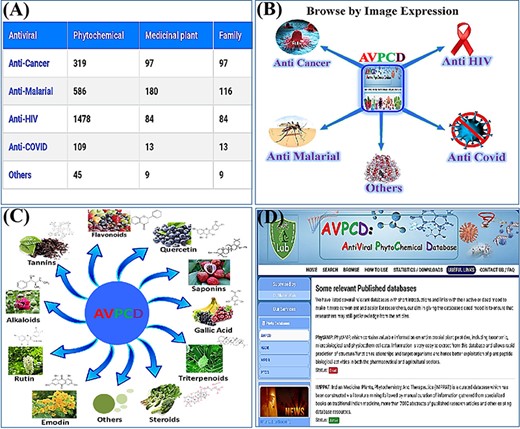 Usage of the database. (A) The browse option by antiviral category. (B) Browse by disease-wise image expression. (C) Browse page of the AVPCD based on the top 10 rich compound images and formula. (D) Useful links to the relevant databases with two modes.