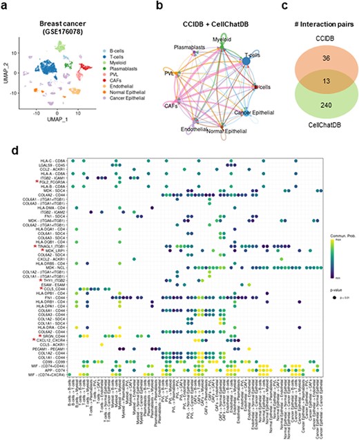 Intracellular communication network analysis using CCIDB in breast cancer. (a) Cell types of the 100,064 cells of breast cancer patients are indicated in a UMAP plot. (b) The inferred intracellular communication network across cell types. Circle size is proportional to the number of cells in each cell group and edge width represents the communication probability. (c) A Venn diagram shows the distribution of interaction pairs identified from CCIDB and CellChatDB. (d) A circle plot shows the interactions of top ranked source-target gene pairs across cell groups. The circle color and size represent the calculated communication probability and P-values, respectively. The red asterisks indicate the pairs found in CCIDB.