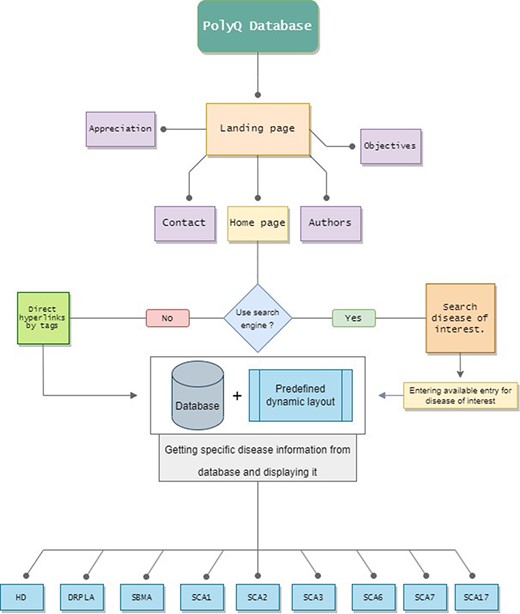 The PolyQ Database structure, depicting all the available pages, routes and disease options. Home page has two different options to access any Disease page.
