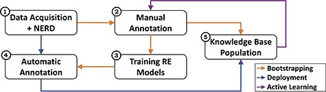 Overview of the CORE architecture. The system consists of five main modules and three processes. The modules represent the data acquisition and NERD components (1), the manual annotation activities (2), the training of the RE models (3), the subsequent automatic annotation (4), and the KB population (5). The processes reflect the different workflows: bootstrapping (orange) sets up the KBC process via expert involvement; deployment (blue) scales it through automated RE methods; and active learning (purple) allows refining the process through subsequent iterations.