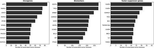The ten most involved genes (and their roles) in cancer diseases. From left to right, the figures present the ten most involved oncogenes, biomarkers and tumor suppressor genes, respectively. AKT1 is the most prominent oncogene, with wide expression in various tissues. Other known oncogenes include MAPK1, MAPK3 and STAT3. Proto-oncogenes such as ERBB2, EGFR and BCL2 show altered expression levels in cancer, but lack sufficient evidence to be identified as oncogenes, thus fitting our definition of biomarkers. TP53 represents an interesting case, as it functions as a biomarker and a tumor suppressor gene for several diseases, with its classification evolving over time.