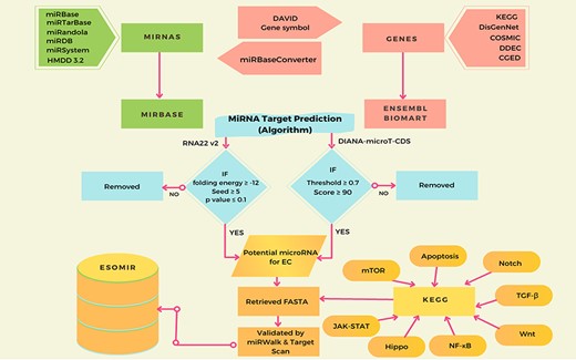 This diagram illustrates the ESOMIR modules, representing data analysis, prediction and mining procedures. Each stage in the process is clearly defined in this schematic, outlining the steps taken to reach the desired outcome.