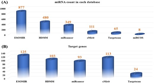 (A) Comparison of all available miRNA targets associated with EC in ESOMIR and other available databases. The figure shows that ESOMIR has the highest number of miRNAs included in contrast to the other available databases. (B) Comparison of all available mRNAs associated with EC in ESOMIR and other available databases.