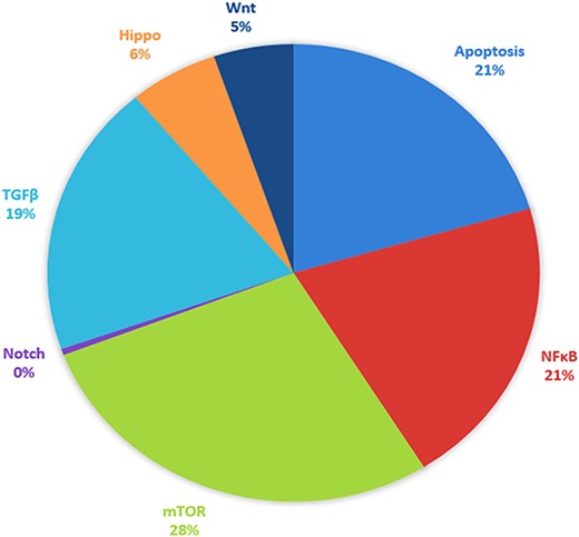 Signaling pathway targeted by selected putative miRNA associated with EC. The respective pathways along with their percentages are given and represented by different colors.
