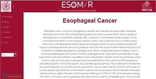 ESOMIR Homepage: a comprehensive miRNA database for EC. The home page shows the description of the database with different tabs that are included in the database. The Fuzzy Search Functionality implemented in ESOMIR is also given.