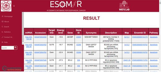 An illustration of the ESOMIR result page presented in a tabular format. The results show the miRNA, accession ID, target site, EL and other information including the gene name and pathways.