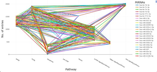 A depiction of the miRNA–target interactions, along with their corresponding signaling pathways.