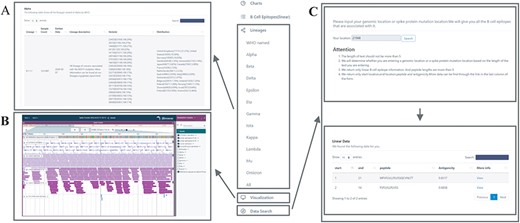 Important functions of database. (A) Lineages browse, an example of WHO named lineage. (B) Jbrowse genome browser for visualization. (C) Search function; click the ‘view’ button to view details.