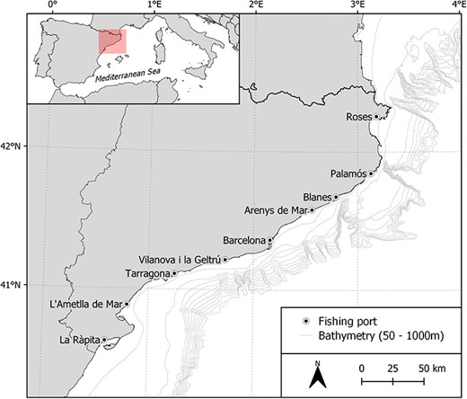 Map showing the study area along the Catalan coast (NW Mediterranean Sea), where the bottom trawling samplings take place). Sampling fishing ports are displayed on the map.
