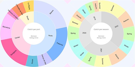 Catch composition per port and season of the deep-water rose shrimp (P. longirostris). The value of the central circle is the average of the species’ biomass per port or season (kg/km2).