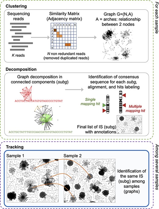 γ-TRIS main steps: (1) clustering, (2) decomposition, and (3) tracking. Steps 1 and 2 are performed for each sample in the sequencing library, whereas step 3 only generates the tracking matrix (indeed it may be run at the library level or even as collections of several libraries, as expected in clinical trial monitoring).