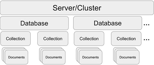 MongoDB structure. One server/cluster can store several databases. Each database can contain collections that store multiple and separate records as documents (in JSON style).