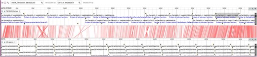 JBrowse2 linear synteny viewer showing synteny between T. monococcum TA10622 and T. aestivum CS-IWGSC ref2.1. See tutorial on online webpage (https://avena.pw.usda.gov/genomes/mono/pan_help.php) on how to generate this view in JBrowse2.