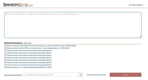 SequenceServer2 page for BLAST search. Specific BLAST databases have been provided for searching specific chromosome groups of all 29 wheat varieties studied.