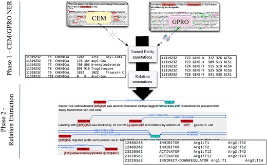 A DrugProt corpus annotation scheme in three independent phases: (1.1) CEM annotation, (1.2) GPRO annotation and (2) RE annotation. An example of the output of the annotation is visualized in Brat at the bottom of the figure.