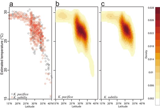 Visualization of estimated thermal habitat across latitude for the two Krohnitta species, scatterplot of estimated temperatures (a) and 2D kernel density fitting for K. pacifica (b) and K. subtilis (c).