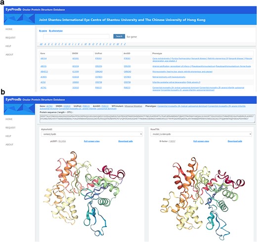 Searching EyeProdb. (a) EyeProdb provides a search engine to find ocular proteins of interest based on gene/protein name or phenotype. (b) Meta-information and 3D visualization of the EyeProdb structure predictions.
