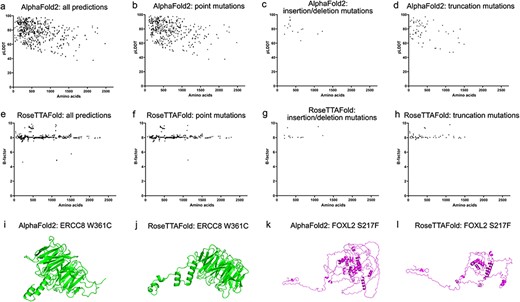 Model confidence profiling for ocular genes. (a and e) The pLDDT by AlphaFold2 and estimated CA rms error by RoseTTAFold for each prediction were plotted with the number of residues. (b–d and f–h) The pLDDT and estimated CA rms error were plotted according to different types of mutations.