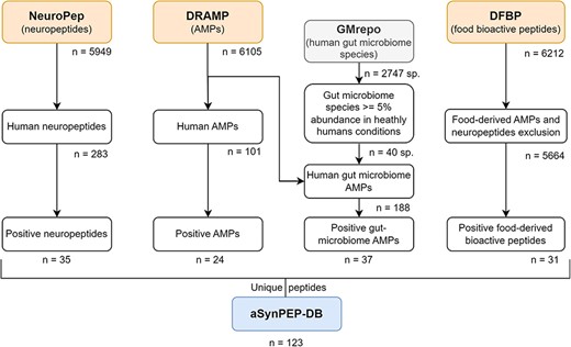 Data curation scheme. Peptides collected in the aSynPEP-DB are obtained from independent source datasets of biogenic peptides. These include human neuropeptides (NeuroPep database), human and human gut microbiome AMPs (DRAMP database) and food-derived bioactive peptides (DFBP database). To select which bacterial species were found in the gut microbiome, the GMrepo database was employed. A total of 123 unique peptides were obtained with the discriminative algorithm.